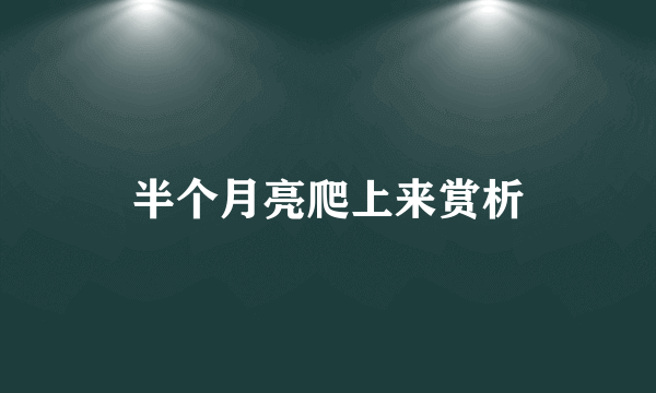 半个月亮爬上来赏析