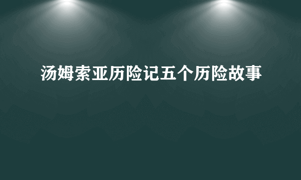 汤姆索亚历险记五个历险故事