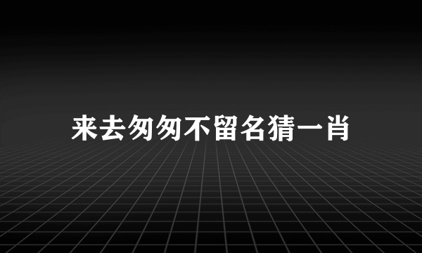 来去匆匆不留名猜一肖