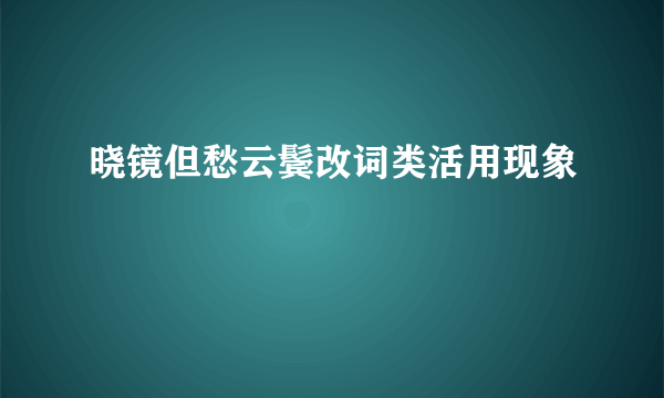 晓镜但愁云鬓改词类活用现象