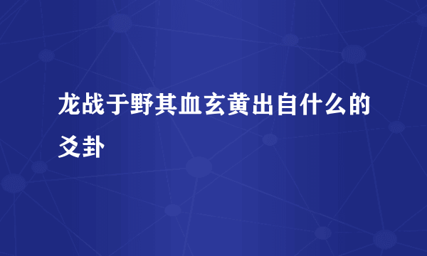 龙战于野其血玄黄出自什么的爻卦