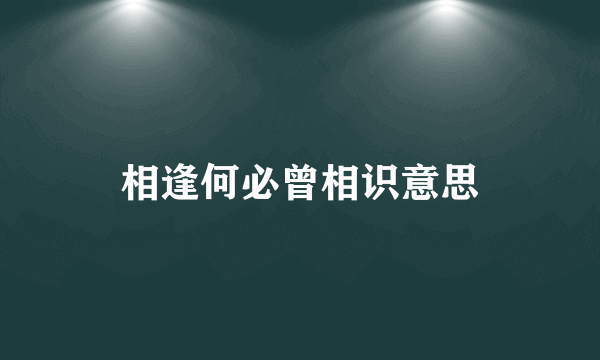 相逢何必曾相识意思