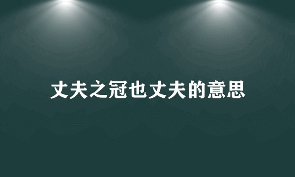 丈夫之冠也丈夫的意思