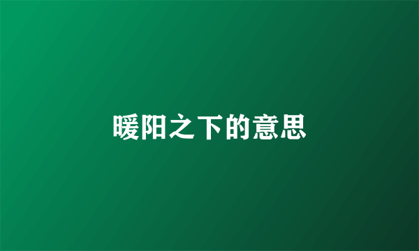 暖阳之下的意思