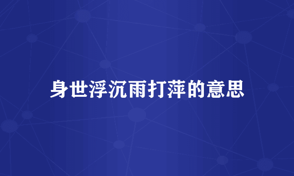 身世浮沉雨打萍的意思