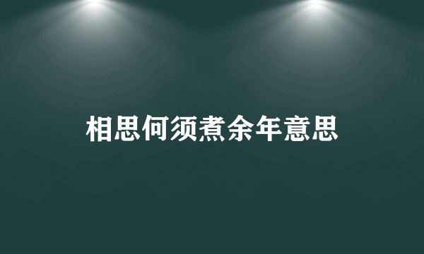 相思何须煮余年意思