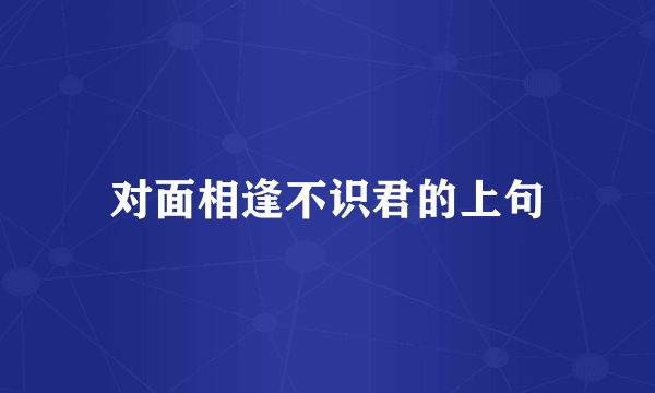 对面相逢不识君的上句