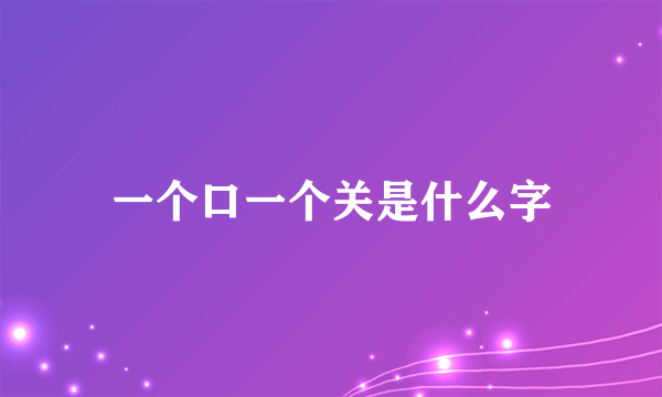 一个口一个关是什么字