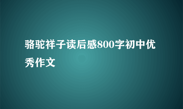 骆驼祥子读后感800字初中优秀作文