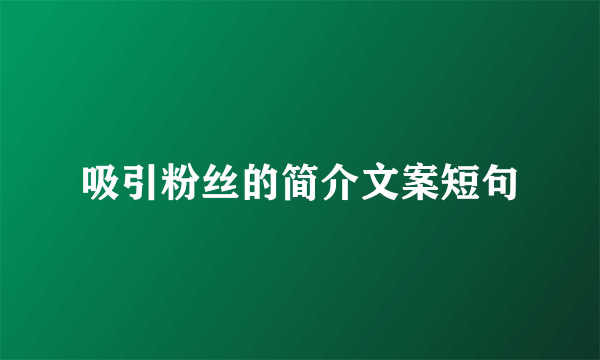 吸引粉丝的简介文案短句