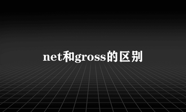 net和gross的区别