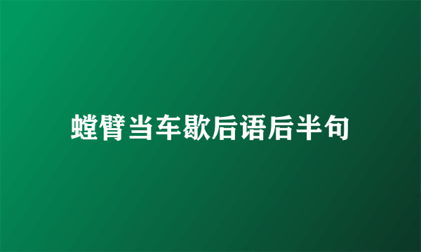 螳臂当车歇后语后半句