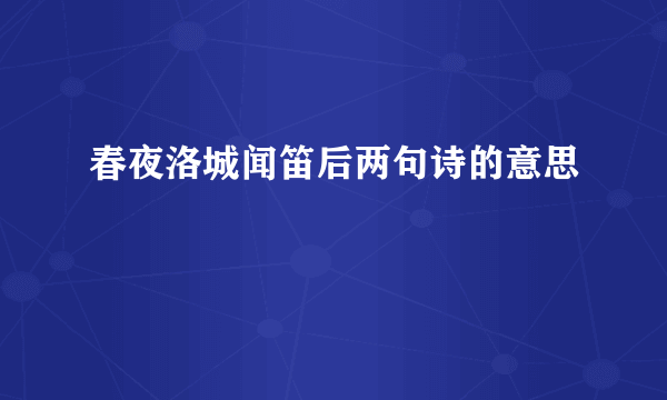 春夜洛城闻笛后两句诗的意思