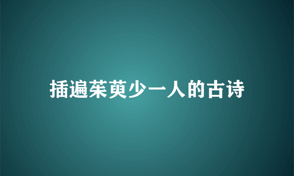 插遍茱萸少一人的古诗