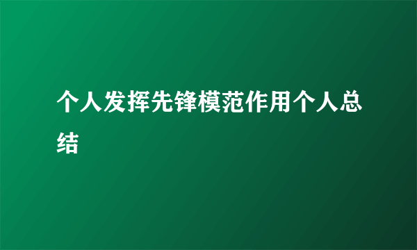 个人发挥先锋模范作用个人总结