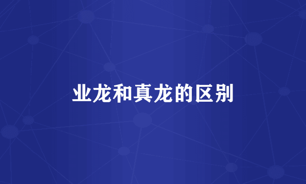 业龙和真龙的区别