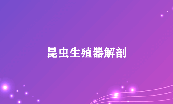 昆虫生殖器解剖