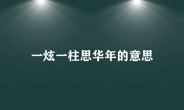 一炫一柱思华年的意思