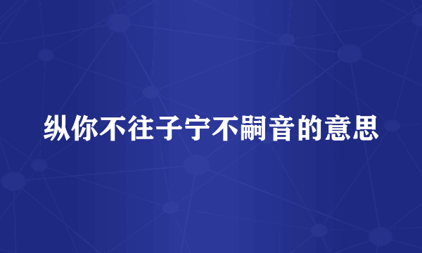 纵你不往子宁不嗣音的意思