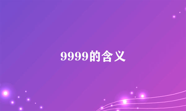 9999的含义