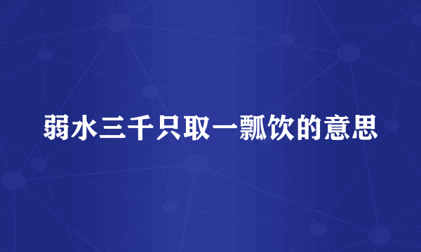 弱水三千只取一瓢饮的意思