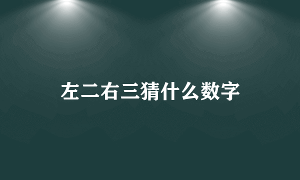 左二右三猜什么数字