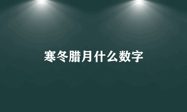 寒冬腊月什么数字