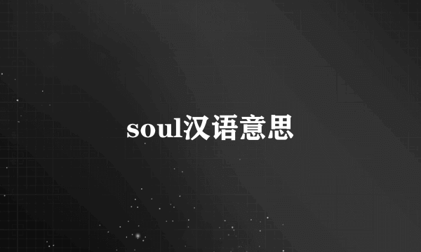 soul汉语意思