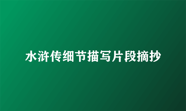 水浒传细节描写片段摘抄