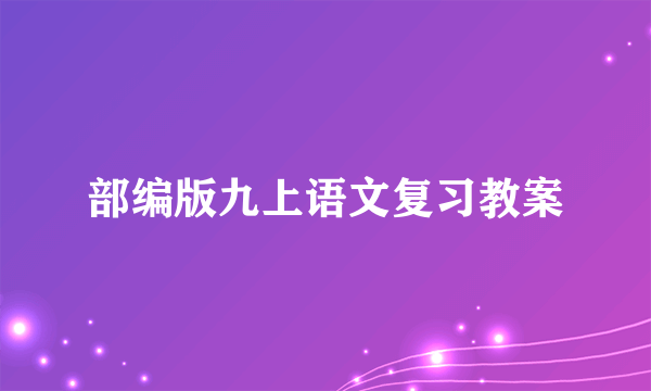 部编版九上语文复习教案