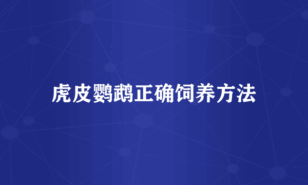 虎皮鹦鹉正确饲养方法