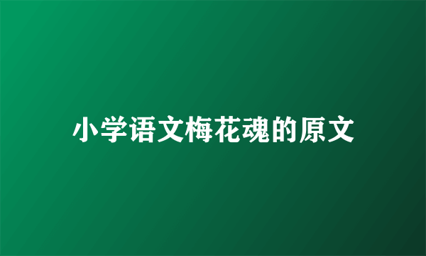 小学语文梅花魂的原文