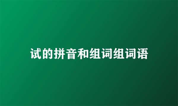 试的拼音和组词组词语