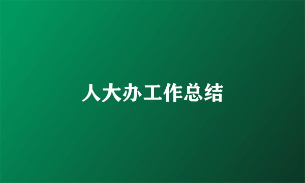 人大办工作总结