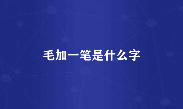 毛加一笔是什么字