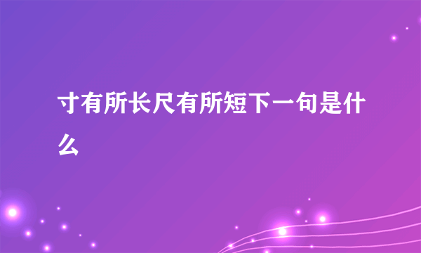 寸有所长尺有所短下一句是什么