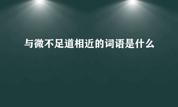 与微不足道相近的词语是什么