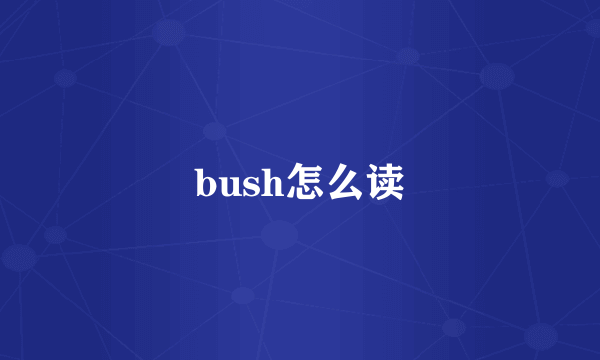 bush怎么读