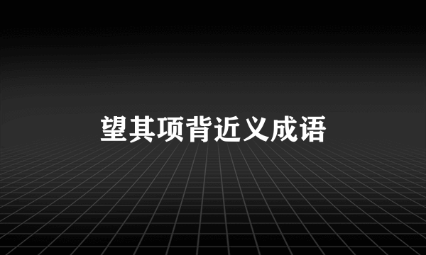 望其项背近义成语