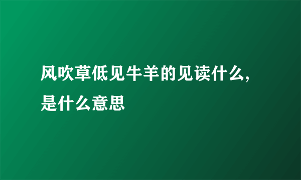 风吹草低见牛羊的见读什么,是什么意思