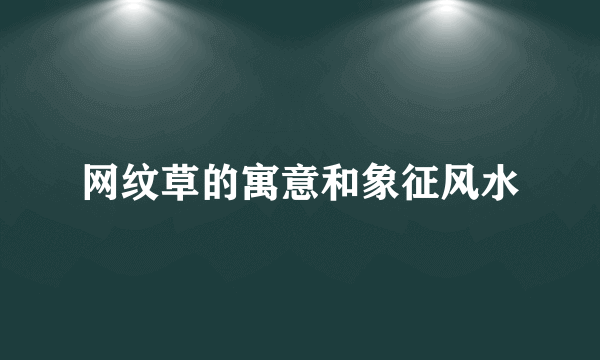 网纹草的寓意和象征风水