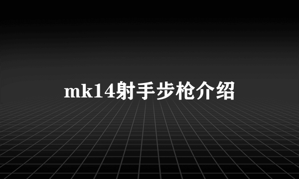 mk14射手步枪介绍