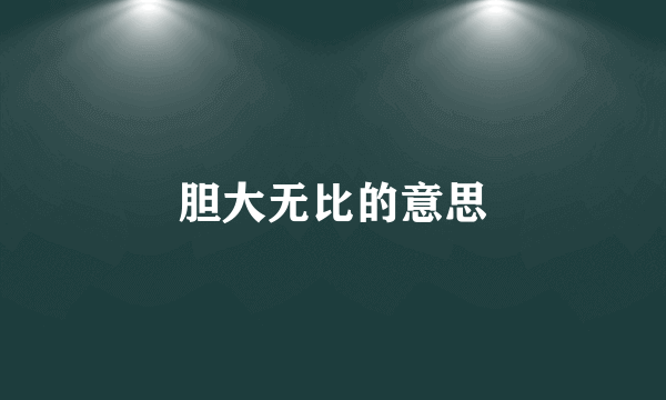 胆大无比的意思