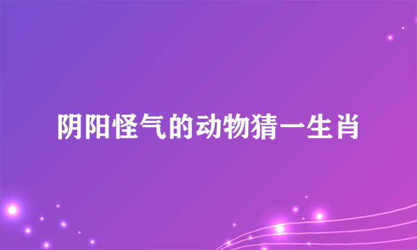 阴阳怪气的动物猜一生肖