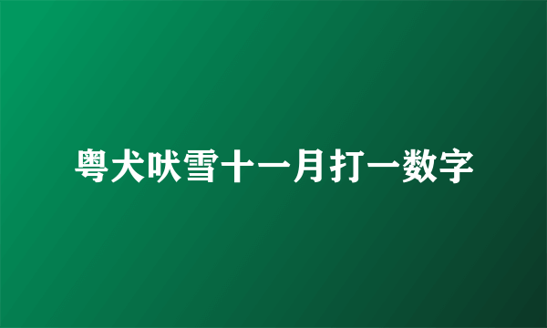 粤犬吠雪十一月打一数字