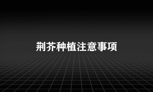 荆芥种植注意事项