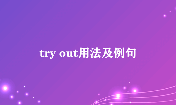 try out用法及例句