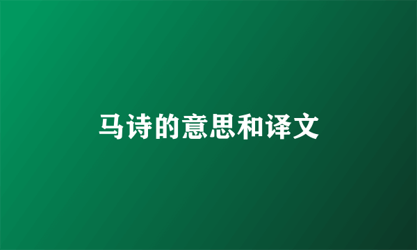 马诗的意思和译文