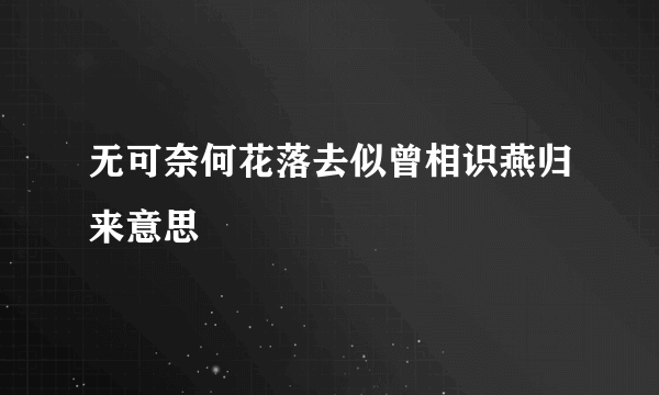 无可奈何花落去似曾相识燕归来意思
