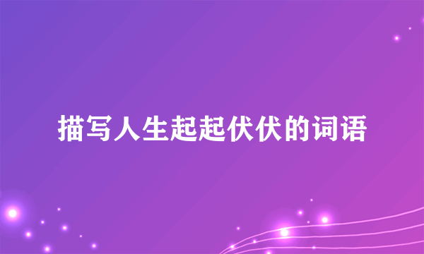 描写人生起起伏伏的词语